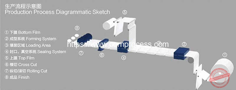 Automatic-Tray-Thermoforming-Sweet-Corn-Vacuum-Sealing-Packing-Machine-Working-Structure